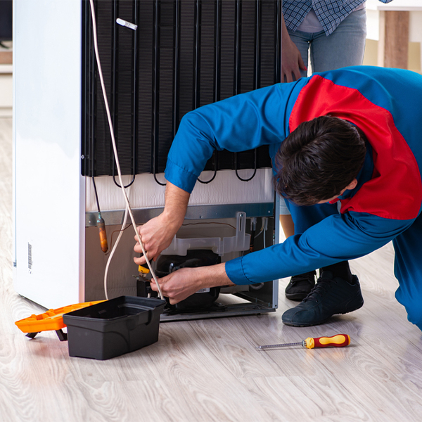 is it cost-effective to repair a refrigerator or replace it entirely in Argyle